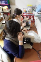 BIO Workshop