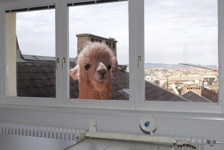 Übung digitale Bildbearbeitung