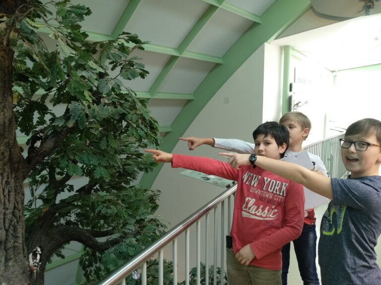 Lehrausgang ins Museum NÖ, Haus der Natur – 1A