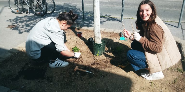 Biodiversität vor der Haustüre