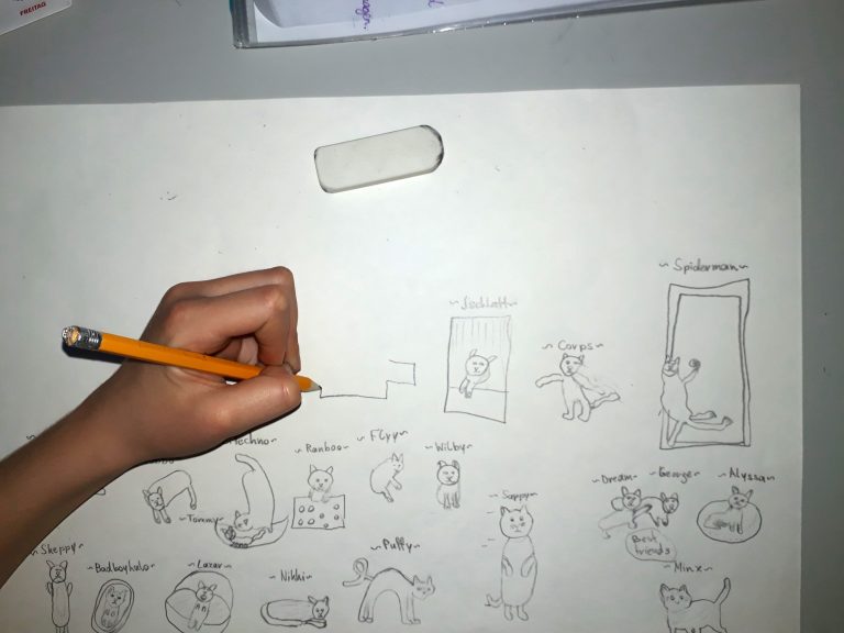 Katzenskizzen nach YouTube Videos