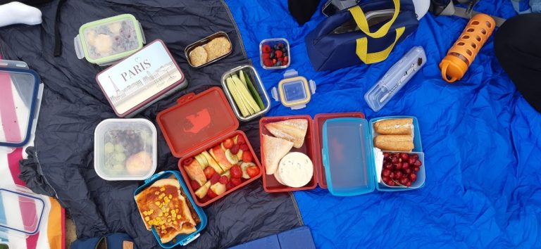 Wanderung und Picknick im Lainzer Tiergarten