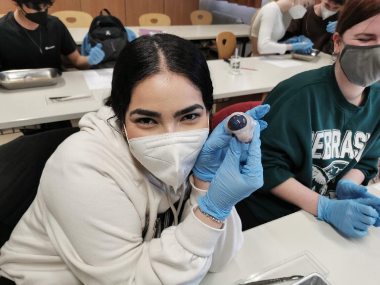 Sektion eines Rinderauges im Wahlpflichtfach Biologie