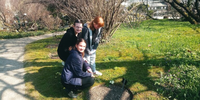 Making A Change – Phänologische Beobachtungen