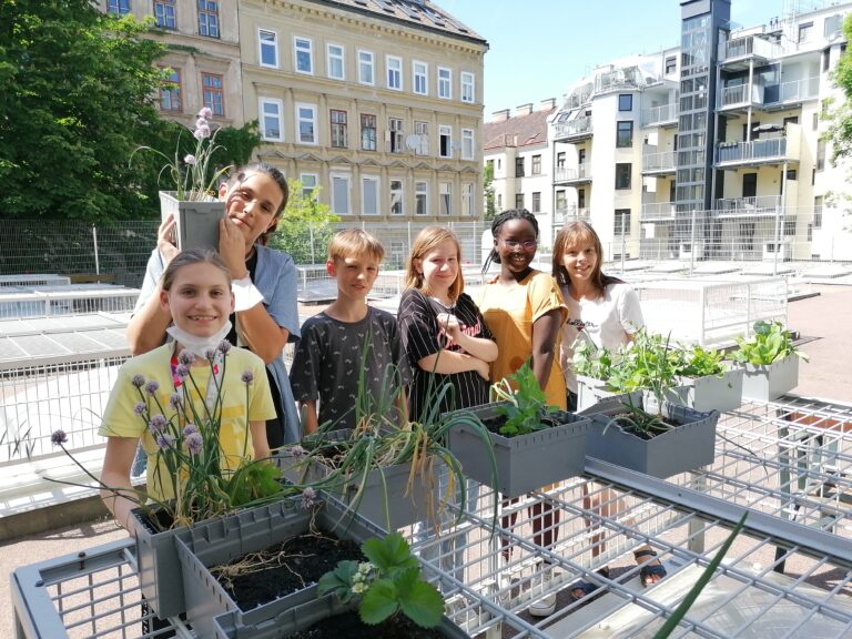 „Grow your own“ auf der Dachterrasse