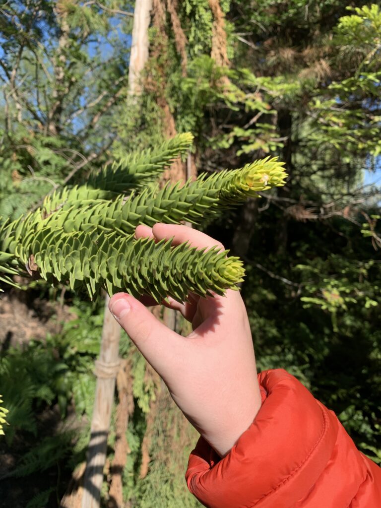 Klimaaktionstag der 1B