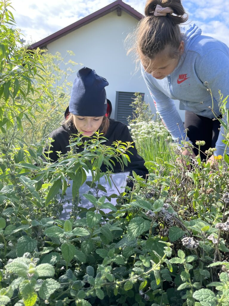Klimaaktionstag der 1D