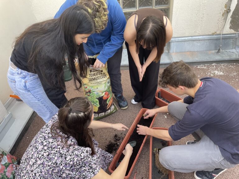 Begrünung der Terrasse
