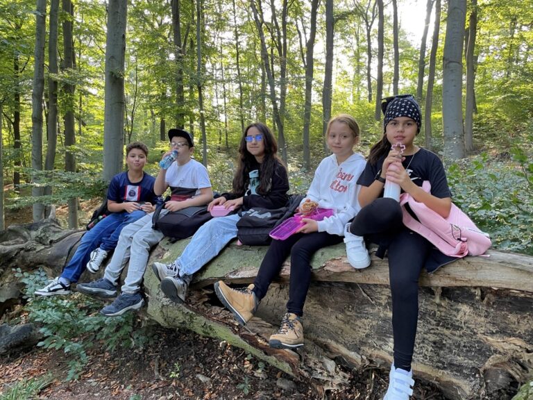 Teambuilding im Wald