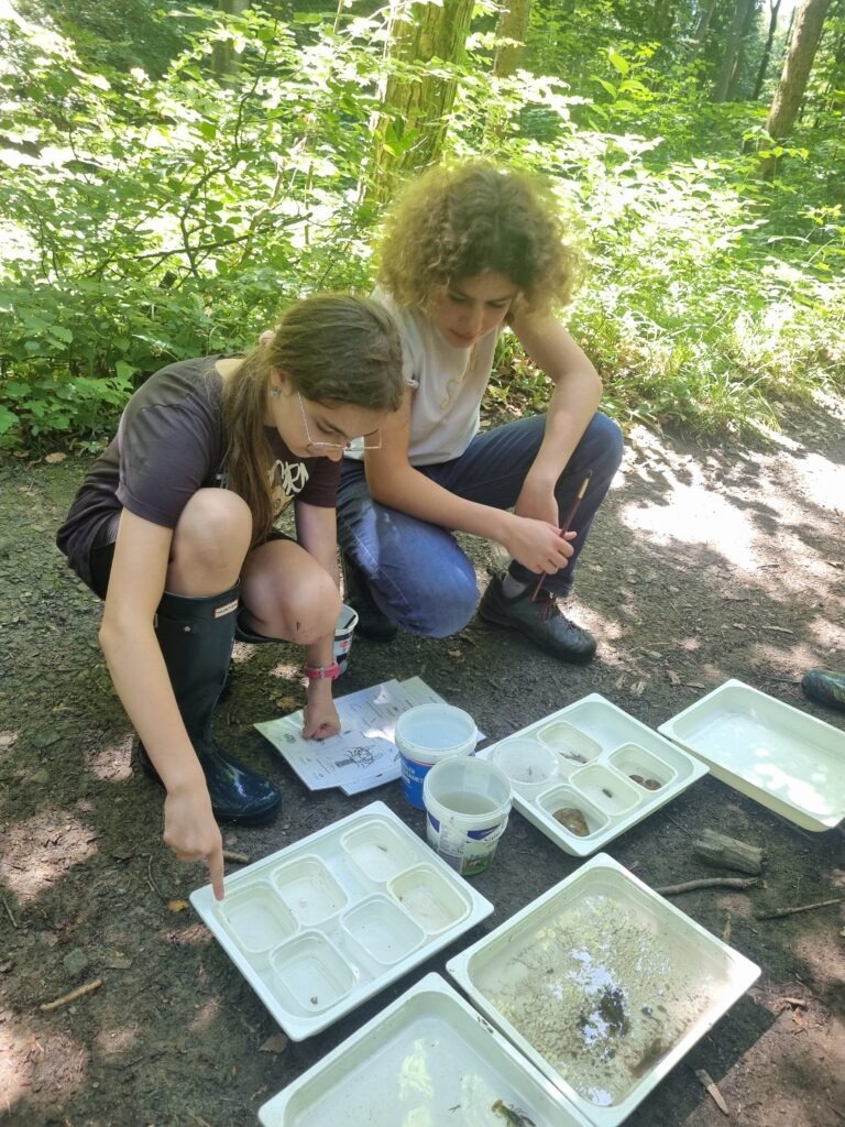 Die 2C erforscht den Halterbach