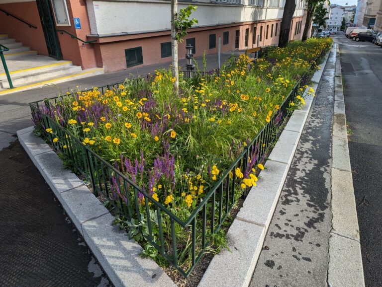 Staudenbeet vor der Schule