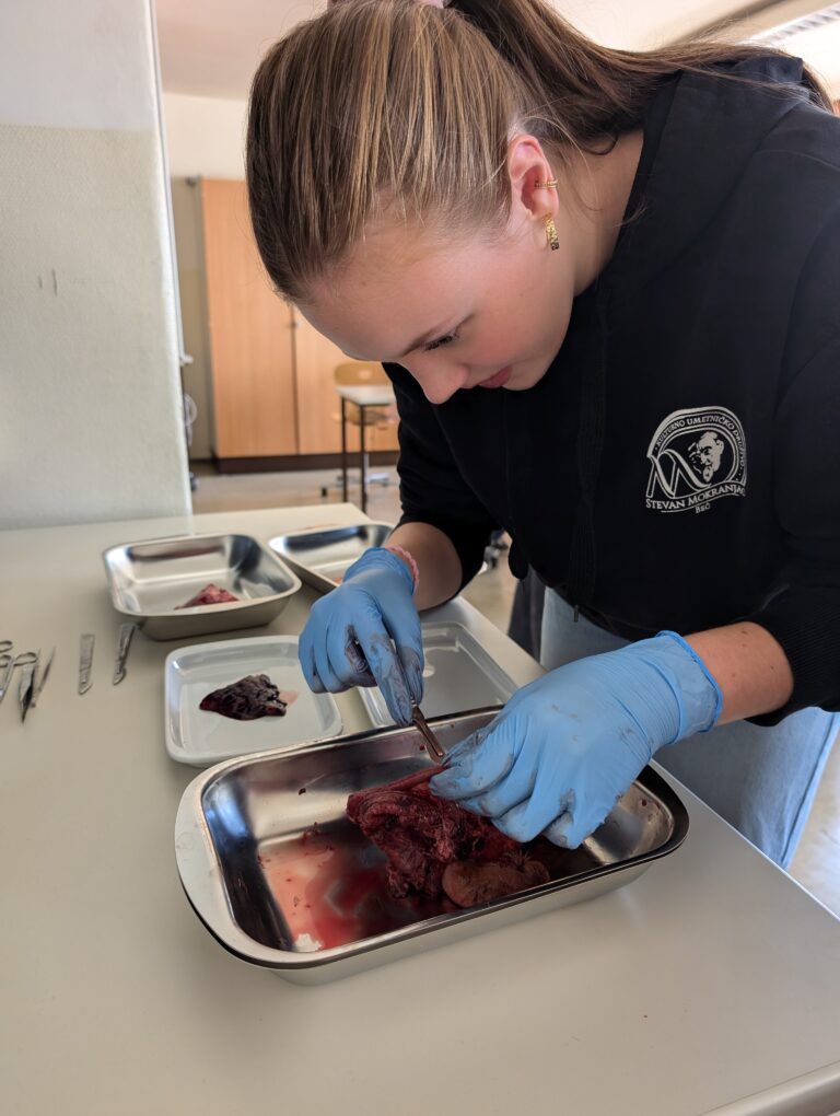 Ran ans Beuschel – Sektion im Wahlpflichtfach Biologie Teil II