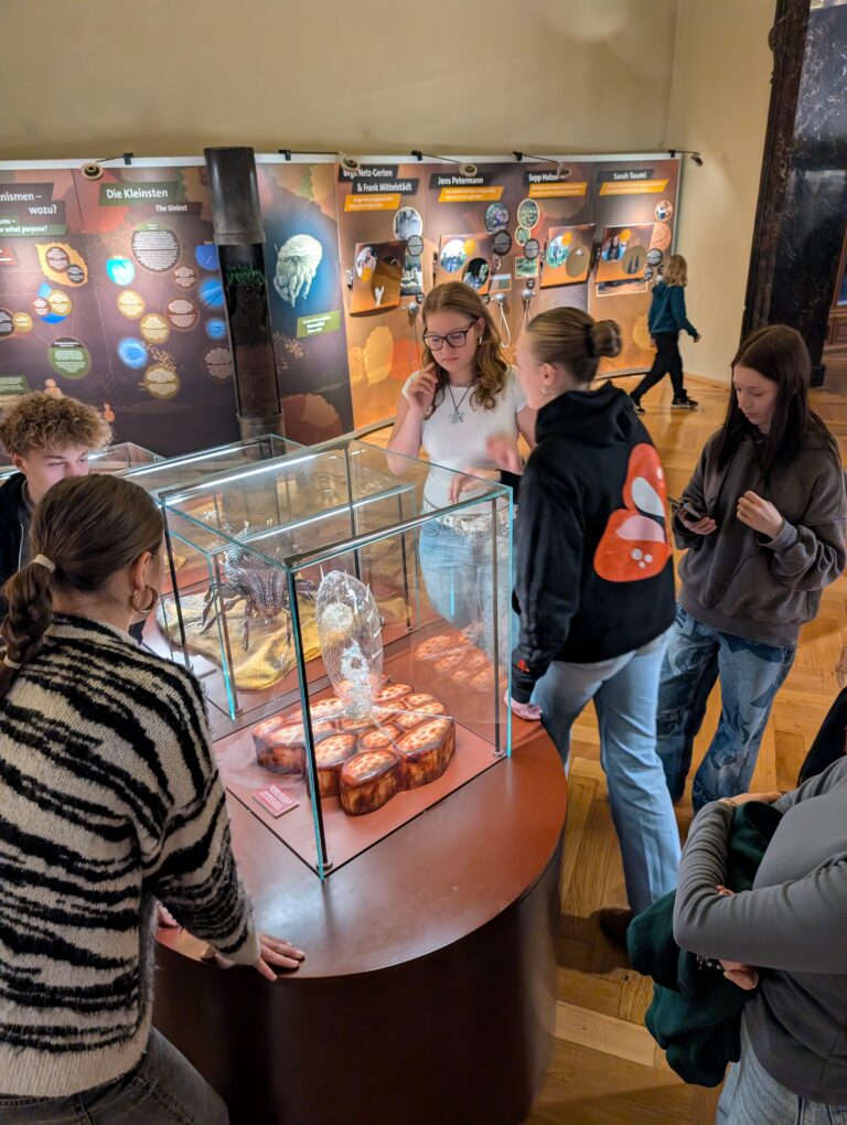 Von Thekamöben und Schleimpilzen – Besuch der Bodenausstellung im NHM Wien