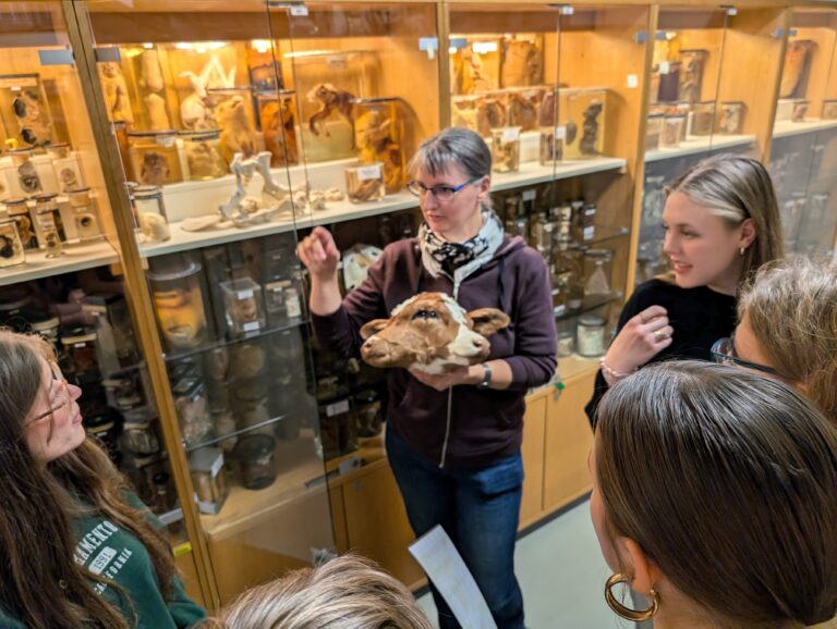 Besuch des Pathologischen Museums auf der VetMed