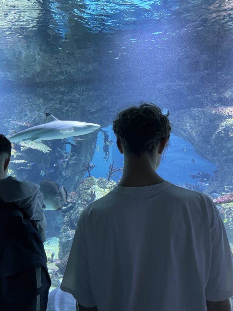 Führung im Haus des Meeres