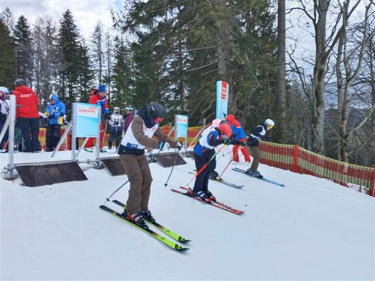 Skicross – Landesmeisterschaften