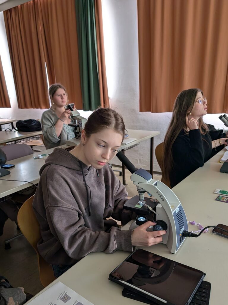 Oh wie schön ist… Honig unter dem Mikroskop!