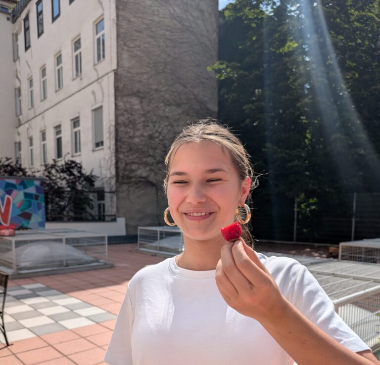 Wir haben Wildbienen vor der Schule!