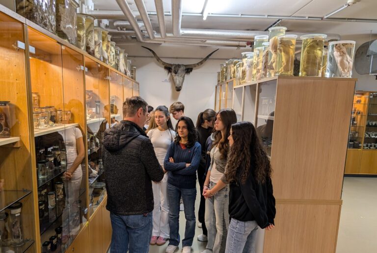 Besuch des Pathologischen Museums auf der Veterinärmedizinischen Universität Wien