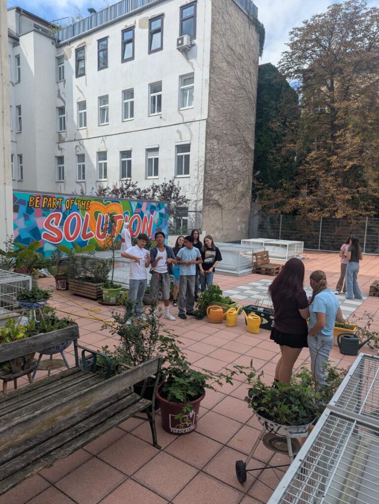 Schulterrasse – Pflanzenbestimmung