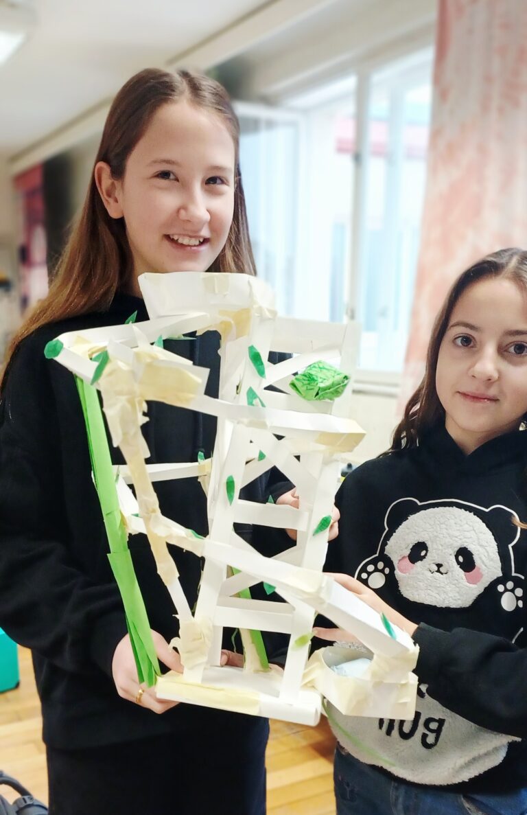 Murmelbahn der 2D und 2B