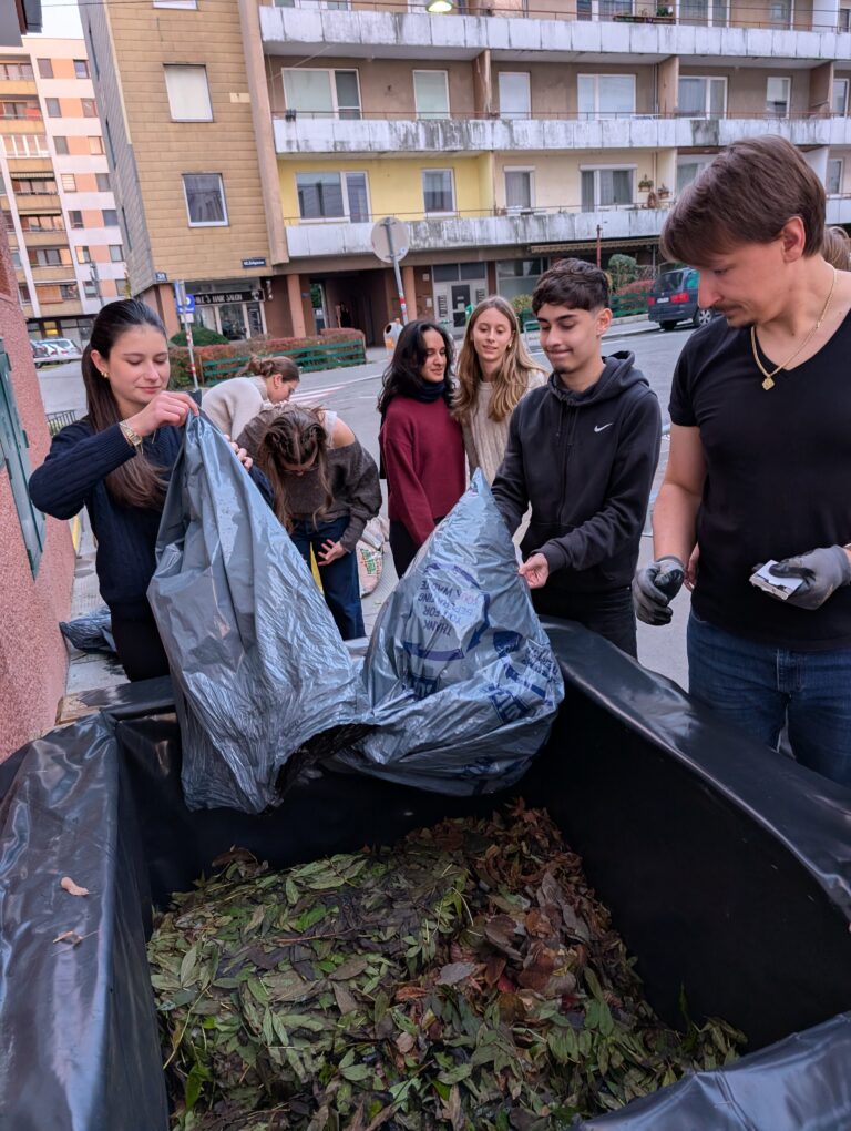 Unser SchulgartERL wird vorbereitet!