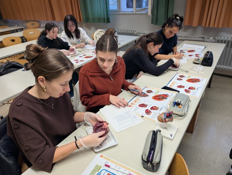 Herzsektion im Wahlpflichtfach Biologie