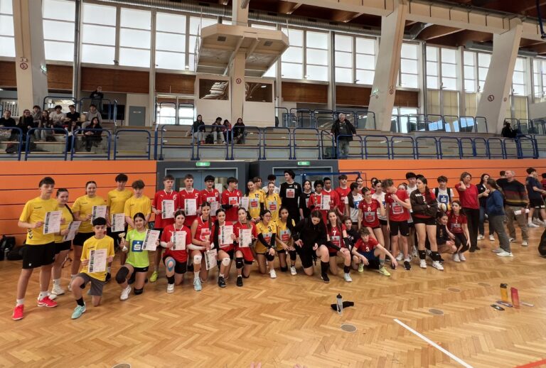 Wir sind Wiener Vizemeister im Volleyball