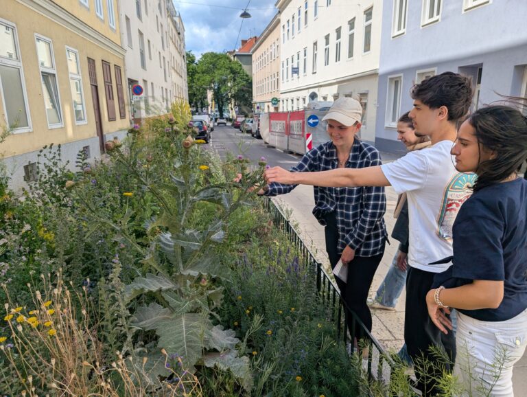 Freilandarbeit mit Dissertantin Maria Lindhuber