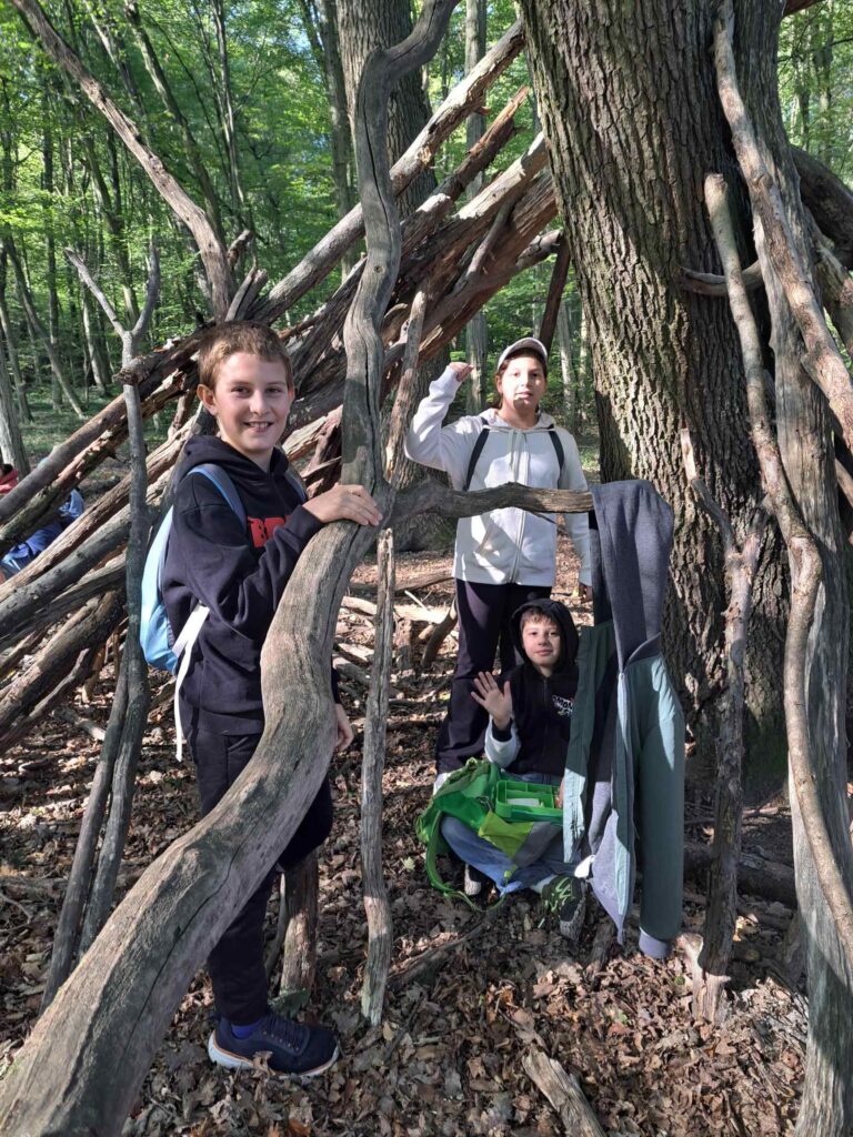Die 1D im Wiener Wald